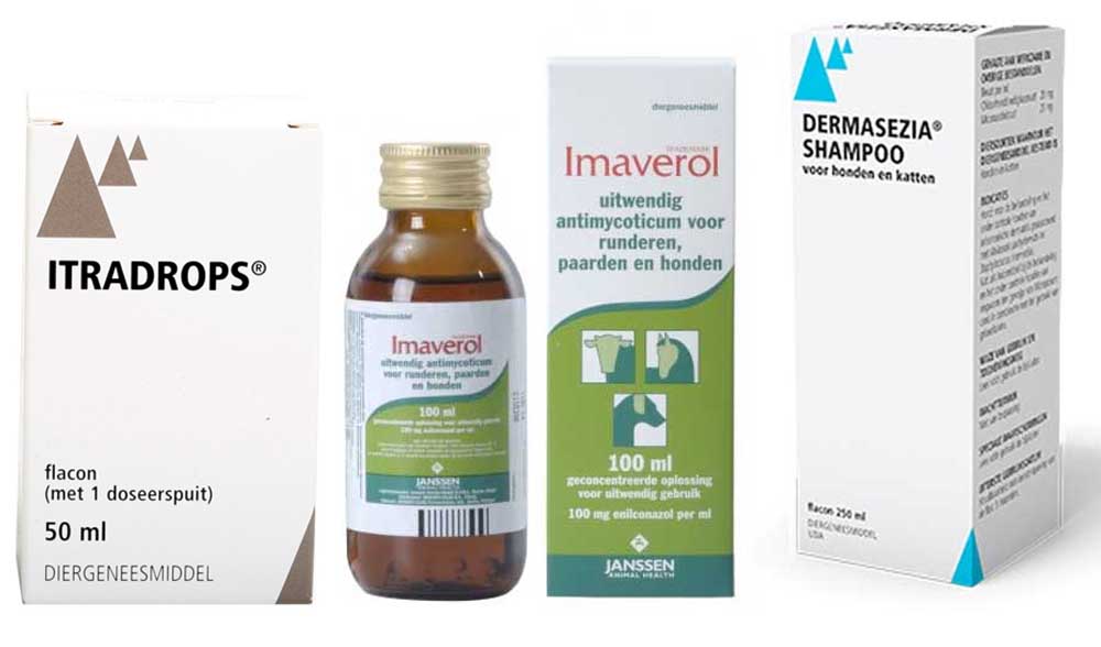 Een aantal voorbeelden van antischimmel middelen en shampoos die wij gebruiken bij de kat